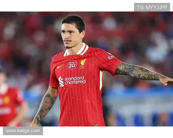 努涅斯与本泽马的技术差距在哪：终结效率与支点作用的对比分析